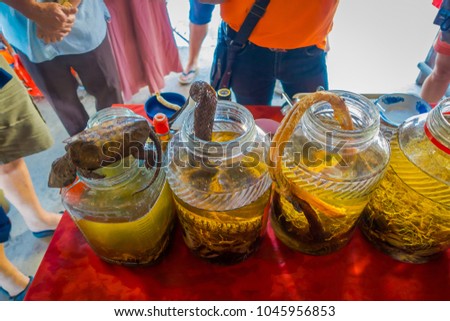Close up of dead turtle and snakes over a whiskey flask, prepared by locals on an island off the coast of Laos, at the Golden Triangle Special Economic Zone Chinatown