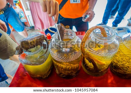Close up of dead turtle and snakes over a whiskey flask, prepared by locals on an island off the coast of Laos, at the Golden Triangle Special Economic Zone Chinatown