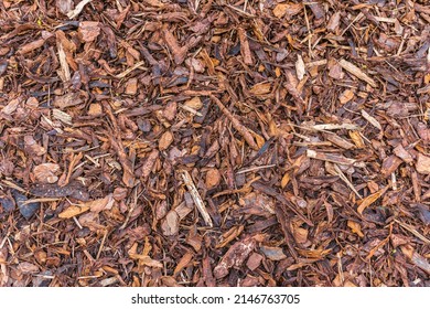 Close up of decorative chip of pine bark. Natural mulch for garden plants, filling on flower beds in garden landscaping. Natural brown wood bark