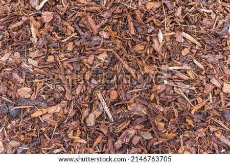 Close up of decorative chip of pine bark. Natural mulch for garden plants, filling on flower beds in garden landscaping. Natural brown wood bark