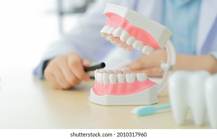 Close Up Dentist Man Hand Hold Dental Teeth Model And Explain And Advise Patient About Cleaning In Office Room At Clinic For Dentistry Health Concept