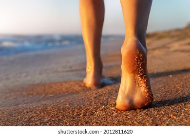 Close Up Detail Bottom Behind Pov View Of Pretty Female Person Barefoot Legs Heel Walking By Scenic Sandy Ocean Or Sea Beach At Warm Golden Sunrise Morning. Wild Nature Travel And Vacation Concept