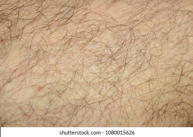 Close up detail of human skin with hair. Mans hairy leg