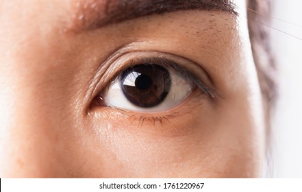Close Up Detail Macro Of Iris Eyebrow Or Eyes Asian Young Woman Open Eyeball, Studio Shot Background, Healthcare Beauty Concept