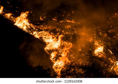 Close Up Detail Wildfire Burning Brush Hillside California Wools