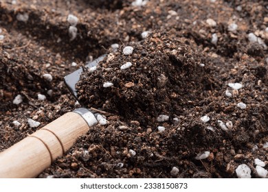 Close up details of soil mixed for cactus and succulents. - Powered by Shutterstock