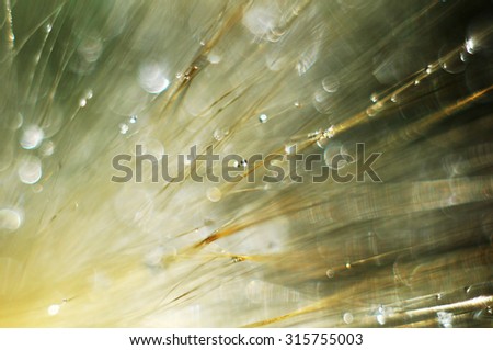 Similar – Image, Stock Photo Ocean of Tears