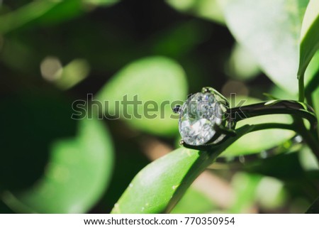Close up of diamond ring on the tree . (soft and selective focus). love and wedding concept.