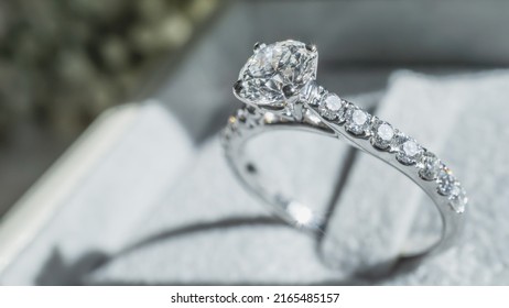 Close up of diamond ring with white flower, sunlight and shadow background. Love, valentine, relationship and wedding concept. Soft and selective focus. - Shutterstock ID 2165485157