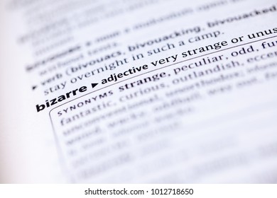 Close up to the dictionary definition of Bizarre
