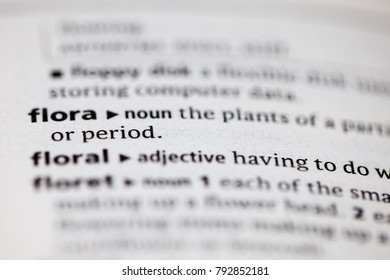 Close up to the dictionary definition of Flora