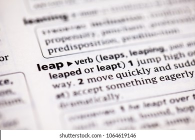 leap meaning