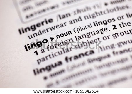 Close up to the dictionary definition of Lingo