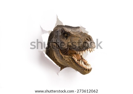 close up dinosaur through the paper wall