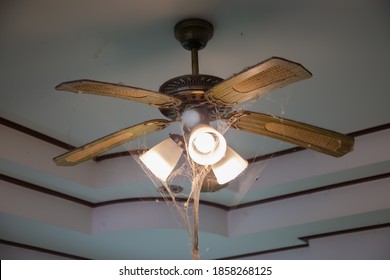 Close Up Dirt And Dust On Ceiling Fan. Cobweb On Ceiling Fan