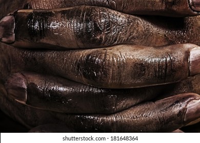 Close Up Of A Dirty Worker Hands.