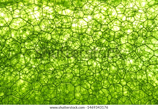 The close\
distance of the green bubble,Bubble, DNA, Drop, Liquid,\
Medicine,Foam Bubble from Soap or Shampoo Washing,Poland,\
Biochemistry, Biotechnology, Laboratory,\
Water