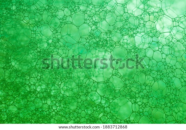 The close\
distance of the green bubble,Bubble, DNA, Drop, Liquid,\
Medicine,Foam Bubble from Soap or Shampoo Washing,Poland,\
Biochemistry, Biotechnology, Laboratory,\
Water