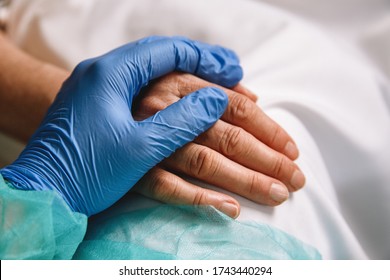 Close up of a doctor hand with blue glove giving support and love to a patient at hospital. Coronavirus pandemic concept.  - Powered by Shutterstock