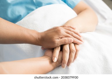 Close Up Doctor Taking Patients Hand On The Bed In Hospiital.Nurse Hand Holding Patient Hand For Empowerment.Care Giver Touching Hand Patient In Clinic.Psychological Support Concept.