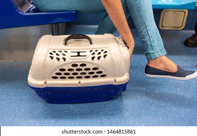 Close Up Of Dog / Cat (inside Pet Carrier) Being Transported By An Unknown Woman (not Shown On Scene) In Public Transport, Subway. Girl's Arm Calming The Pet. Pet Care And Animal Welfare Concept.