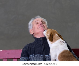 Close Up Of Dog Kissing Old Man