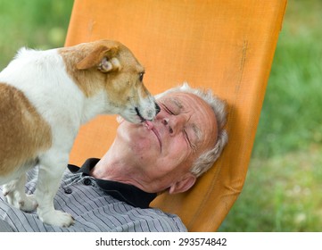 Close Up Of Dog Kissing Old Man In The Park