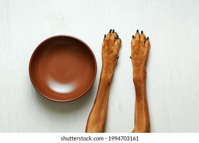 Close up dog's paws next to empty food bowl  - Powered by Shutterstock