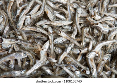 Close Up Of Dried Anchovies