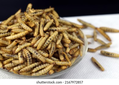 Close Up Of Dried Black Soldier Maggots