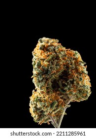 Close Up Dried Cannabis Buds, Weed Buds, Weed Flowers With Sativa, Indica, Hybrid Strain