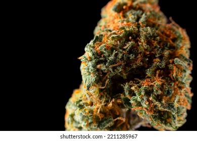 Close Up Dried Cannabis Buds, Weed Buds, Weed Flowers With Sativa, Indica, Hybrid Strain