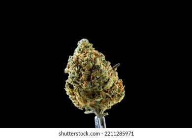 Close Up Dried Cannabis Buds, Weed Buds, Weed Flowers With Sativa, Indica, Hybrid Strain