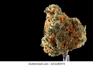 Close Up Dried Cannabis Buds, Weed Buds, Weed Flowers With Sativa, Indica, Hybrid Strain