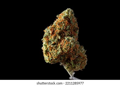 Close Up Dried Cannabis Buds, Weed Buds, Weed Flowers With Sativa, Indica, Hybrid Strain