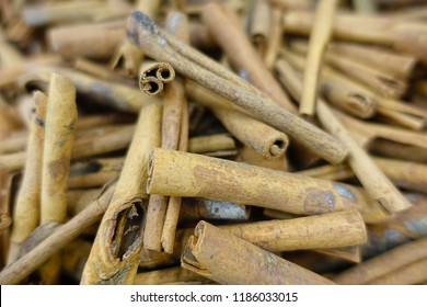 Close Up Of Dried Cassia Bark, Selective Focus. 