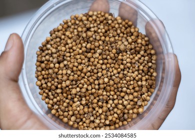 Close up of dried coriander seeds in a transparent plastic bowl. - Powered by Shutterstock