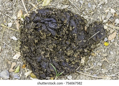 230 Ox Dung Images, Stock Photos & Vectors | Shutterstock