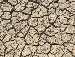 A Close Up Of A Dried Up Lake Bed