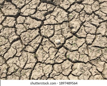 A Close Up Of A Dried Up Lake Bed