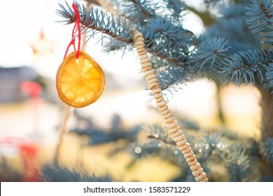 Close Up Of Dried Orange Ornament For Bird Feeder Christmas Tree