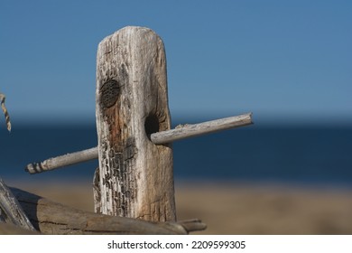 Close Up Of Drift Wood Fragments On Plum Island Sandy Beach. Selective Focus