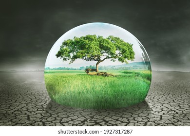 Close up of a drop water with green trees and farmland on dried soil. Global warming concept