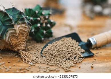 Close up dry Akadama soil or Japanese soil. Akadama is mostly used in the growing of potted plants, bonsai trees, cactis and succulents. - Powered by Shutterstock