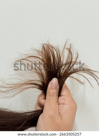 Close up of dry, frizzy, and split ends hair held in hand, showing damaged hair texture and breakage, perfect for beauty, hair care, and treatment concepts