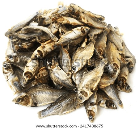 Close up of a Dry puti mach or swamp barb or puntius fish or chola barb or puntius chola fish isolated on white background.