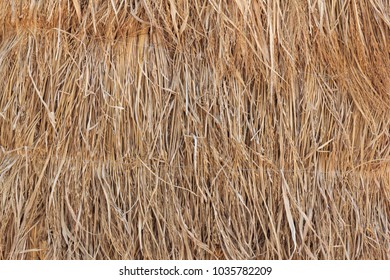 Close up dry straw texture, pattern background.