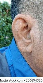  Close up ear of man