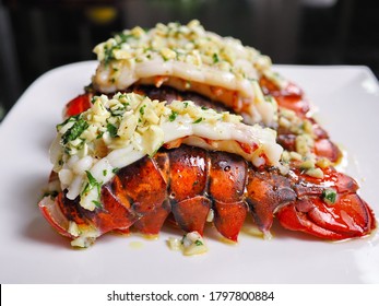 Close up easy homecook meal served several red orange color arranged aligned perfectly cooked garlic butter lobster tails with parley baked or broiled for lunch and dinner at home