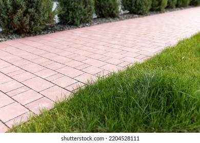 Close Up Of Edge Of New Sidewalk And Green Grass Near It. Park Path Made Of Light Concrete Blocks Of Different Shapes And Overgrown Grass In Park Area. Nobody.